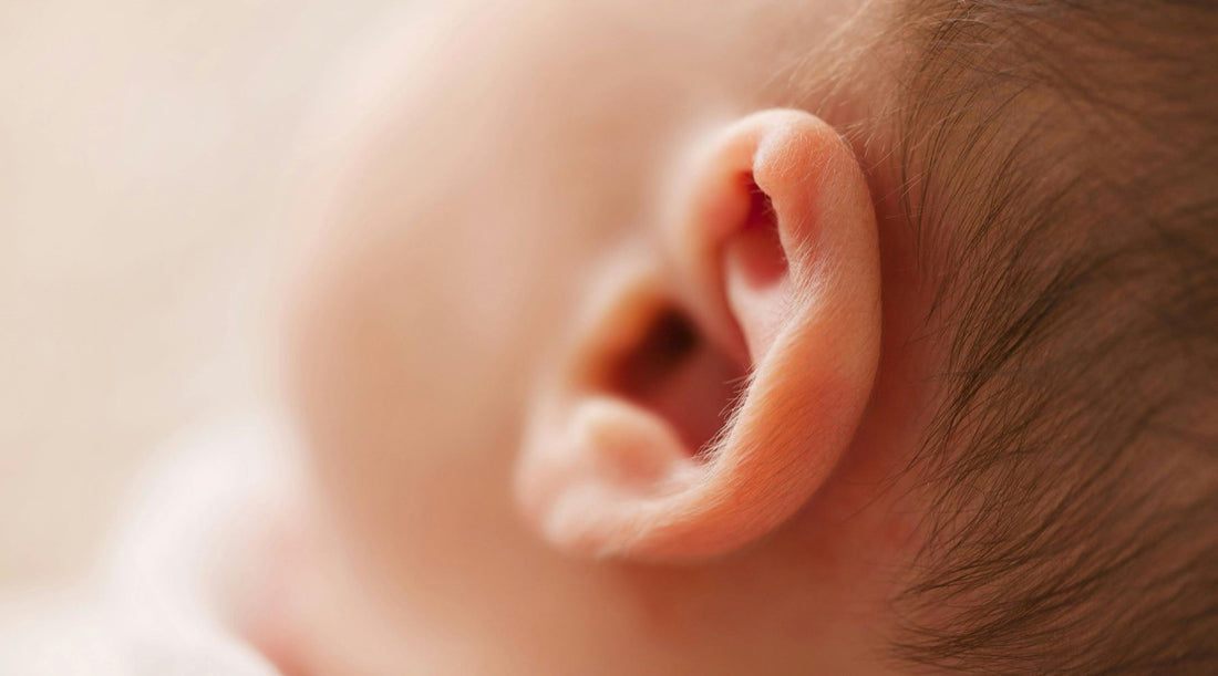 Understanding Ear Canal Health