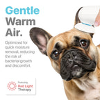 Pet Ear Care Kit