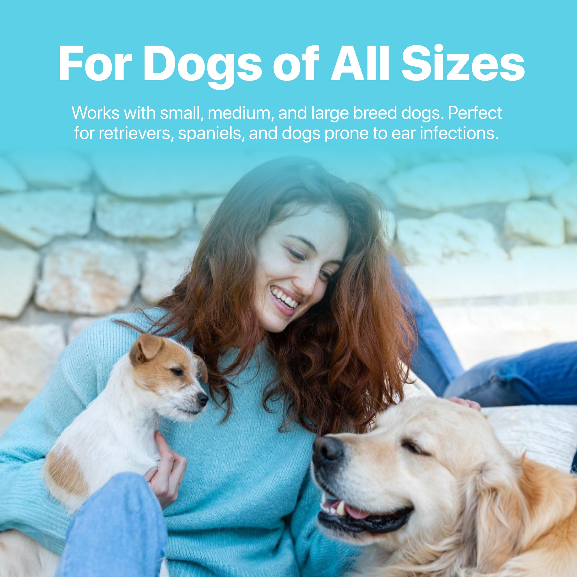 Pet Ear Pieces