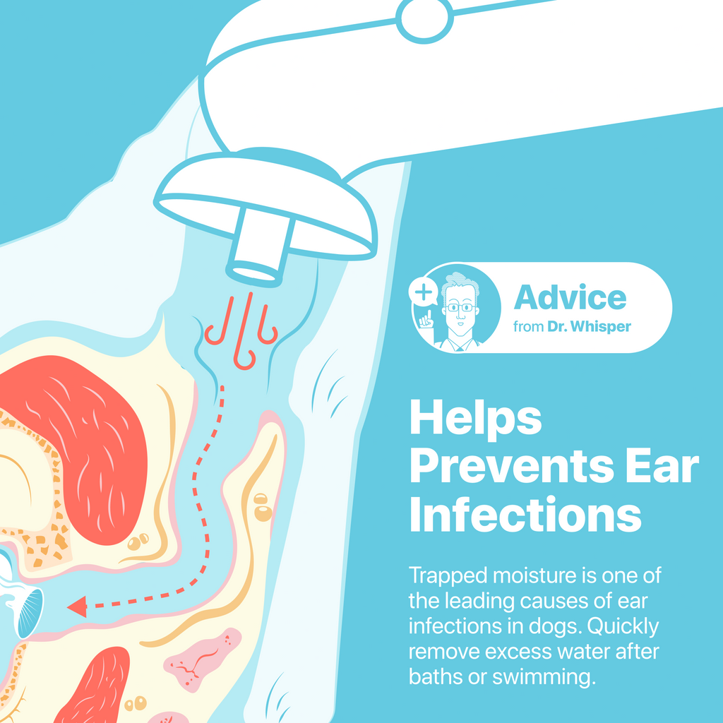Pet Ear Pieces
