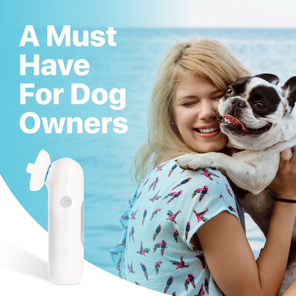 Pet Ear Pieces